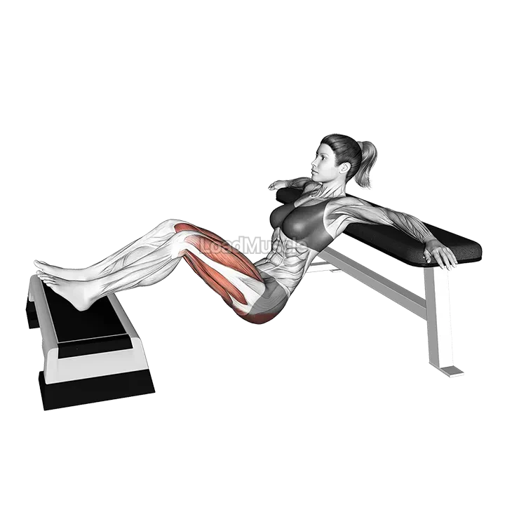 Elevated Two Legs Hip Thrust demonstration