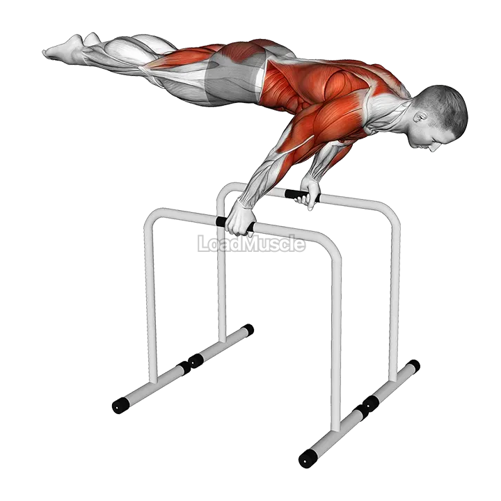 Planche Dip on Parallel Bars demonstration