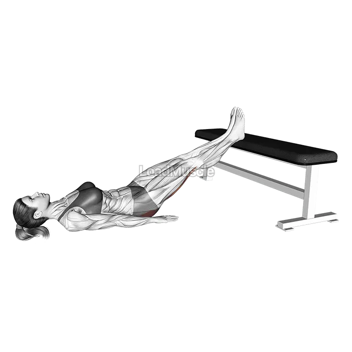 Straight Leg Glute Bridge demonstration