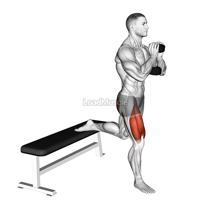 Dumbbell Goblet Bulgarian Split Squat demonstration