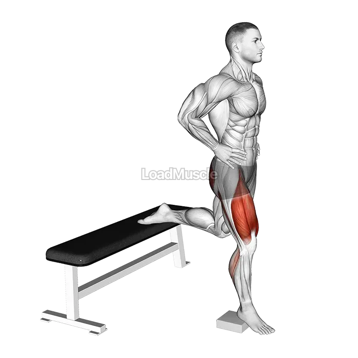 Bodyweight Heel Elevated Bulgarian Split Squat demonstration