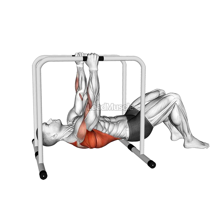 Parallel Bars Bent Knee Inverted Row demonstration