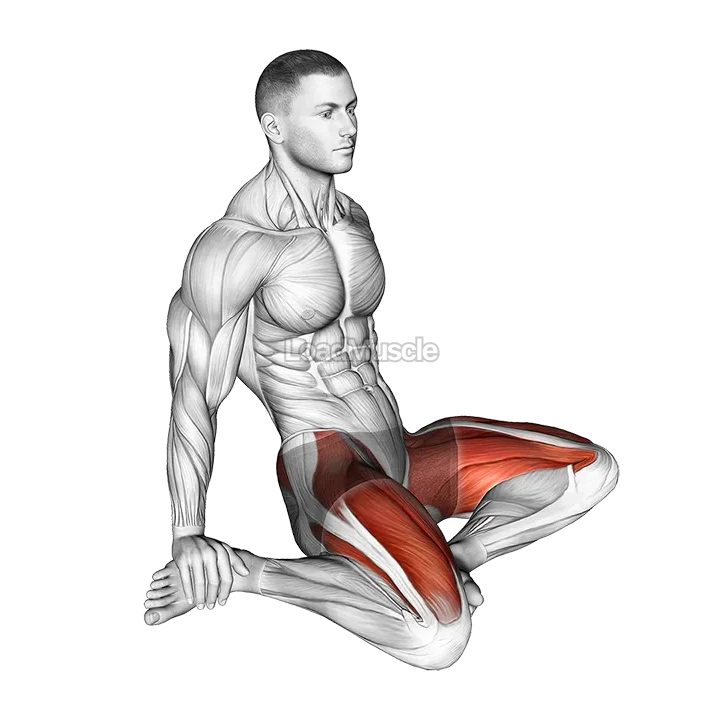 Seated Quadriceps Stretch demonstration