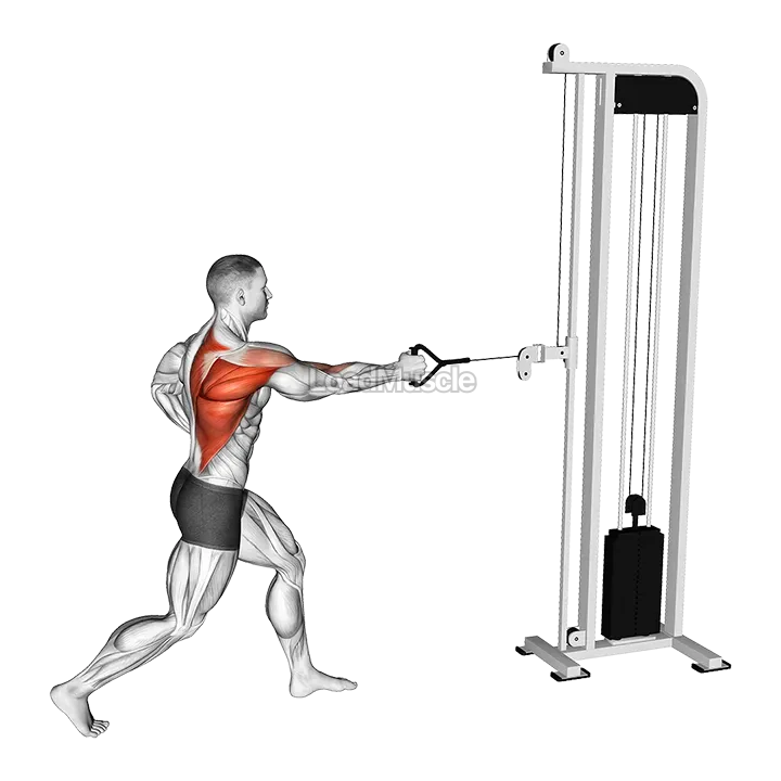 Cable Split Stance Single Arm Row demonstration