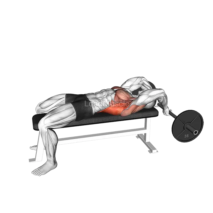 Barbell Bent Arm Pullover demonstration