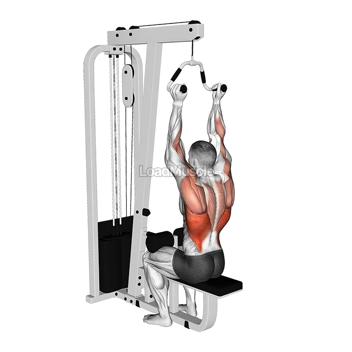 Cable Neutral Grip Lat Pulldown demonstration