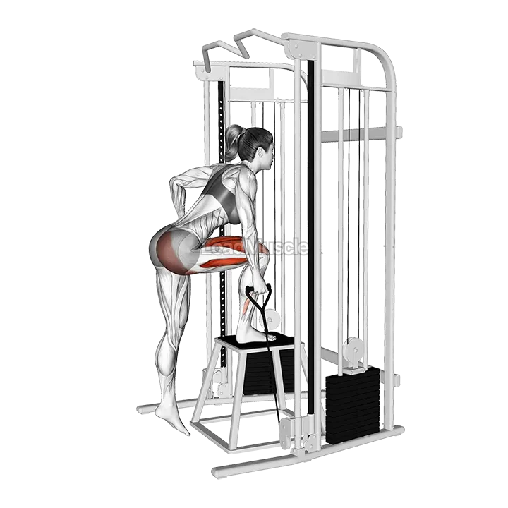 Cable Ipsilateral Glute Dominant Step-up demonstration
