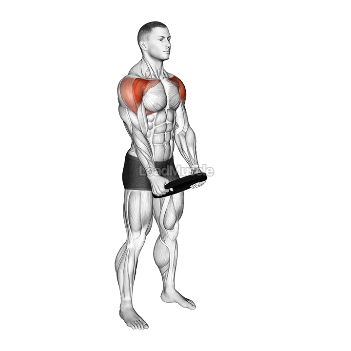 Weighted Front Raise Hold demonstration