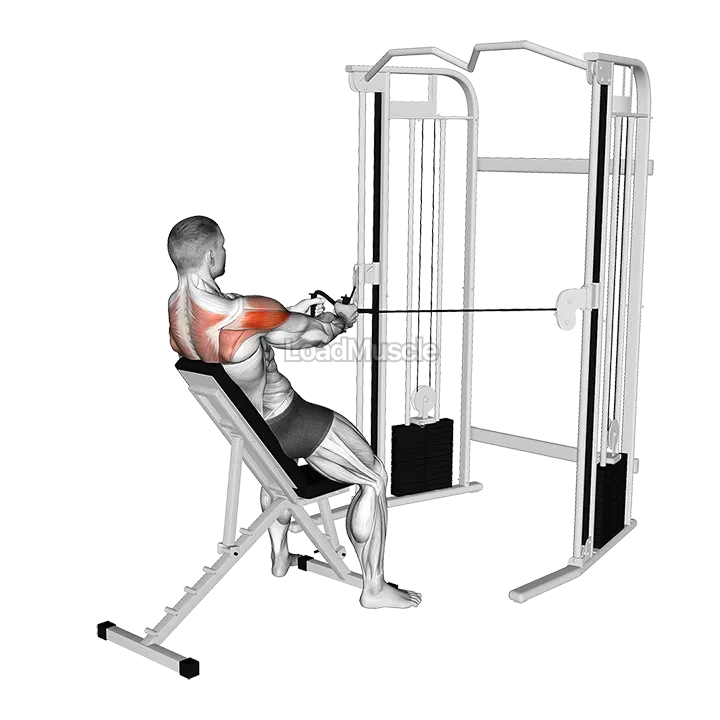 Cable Incline Rear Delt Fly with Back Support demonstration