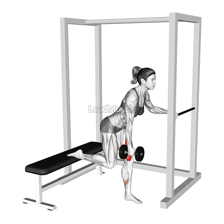 Dumbell Contralateral Glute Dominant Bulgarian Split Squat demonstration