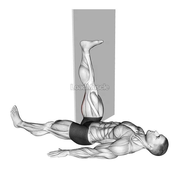 Lying Single Leg Hamstring Stretch against Wall demonstration