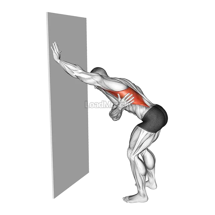 Single Arm Lat Stretch against Wall demonstration