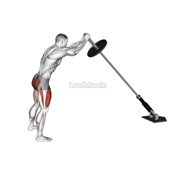 Landmine Squat demonstration