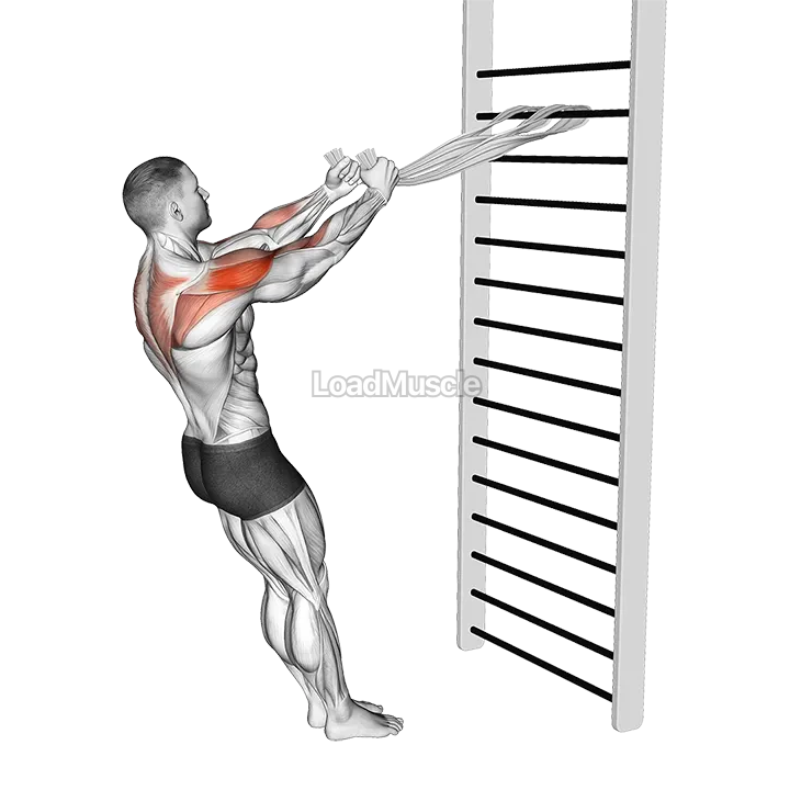 Standing Supinated Face Pull (with towels) demonstration