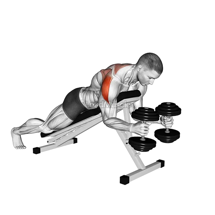 Dumbbell Prone W Raise demonstration