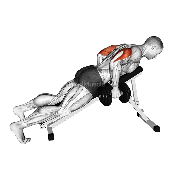 Dumbbell Incline Triceps Kickback demonstration