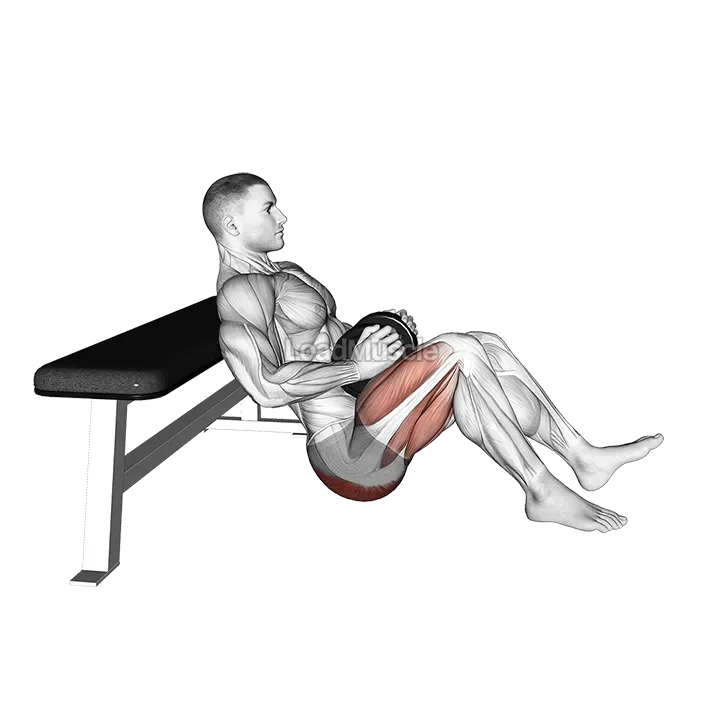 Dumbbell Single Leg Hip Thrust demonstration