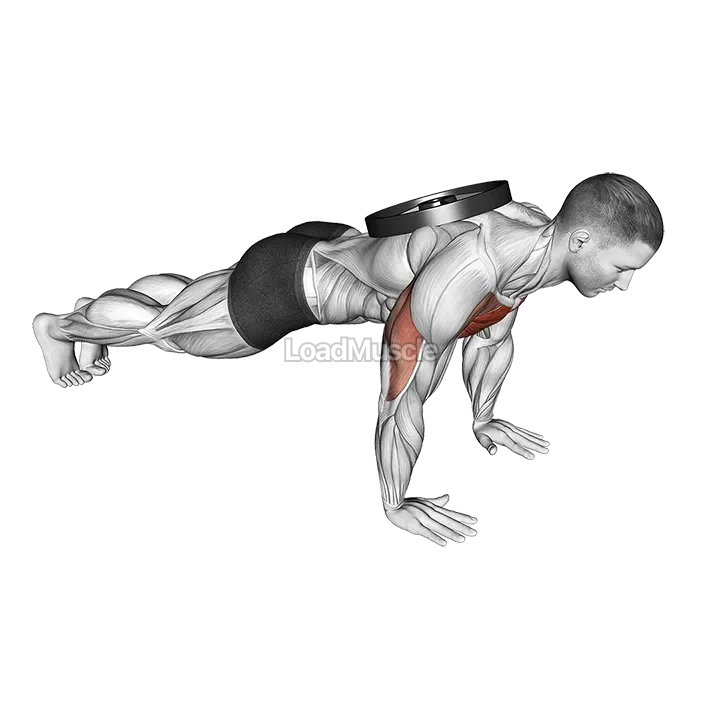 Weighted Plate Push-up demonstration