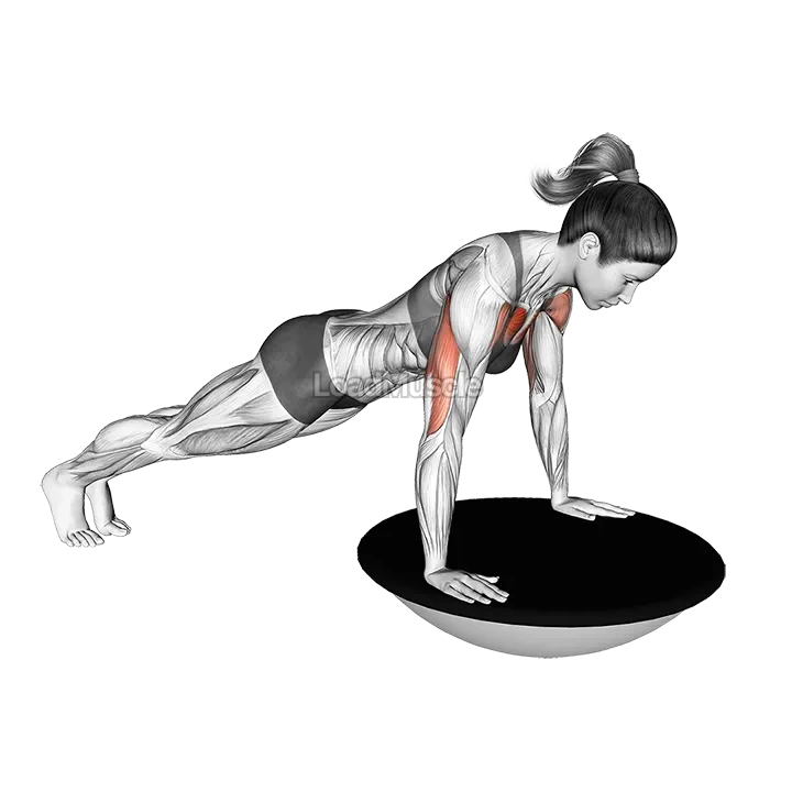 Push-up (bosu ball) demonstration