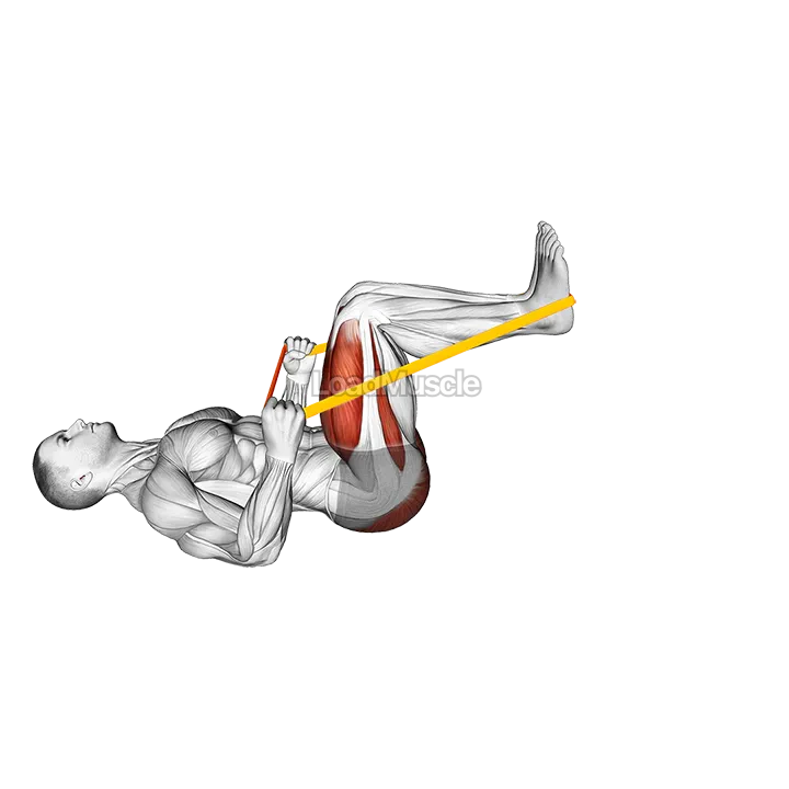 Resistance Band Lying Leg Press demonstration