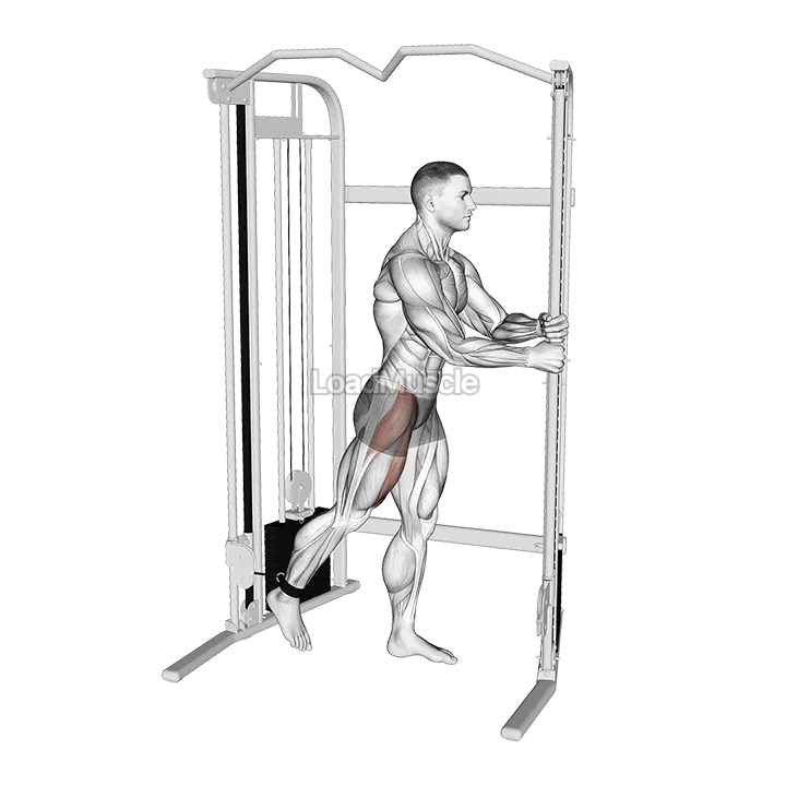 Cable Standing Hip Flexion demonstration