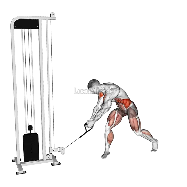 Cable Reverse Woodchop demonstration