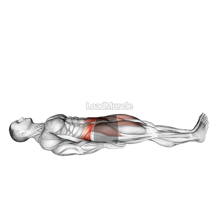 Lying Knee Raise demonstration