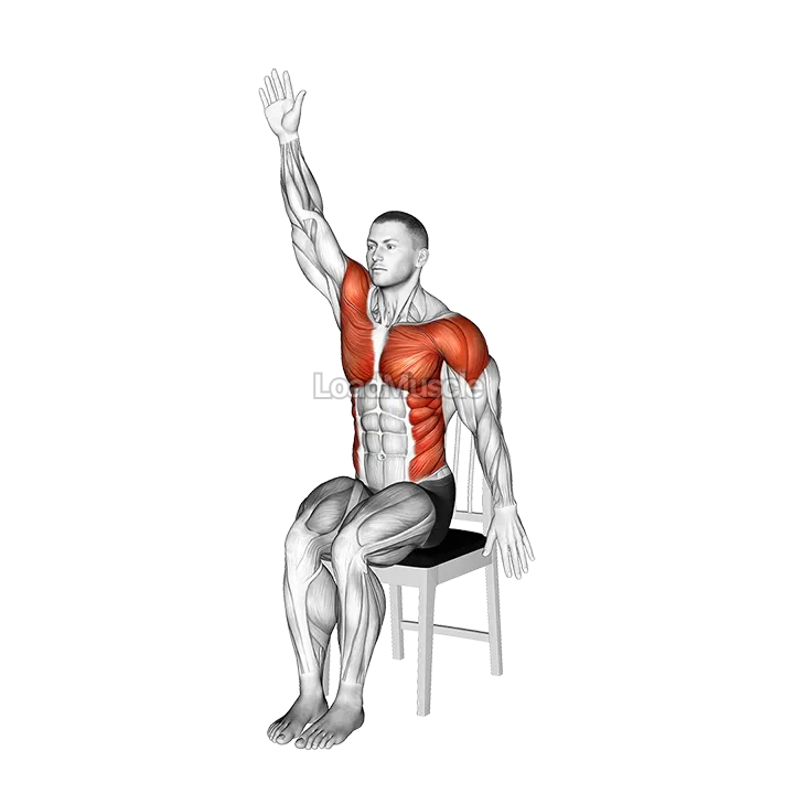 Sitting Swimmer on a Chair demonstration