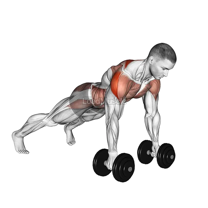 Dumbbell Lateral Raise Plank demonstration