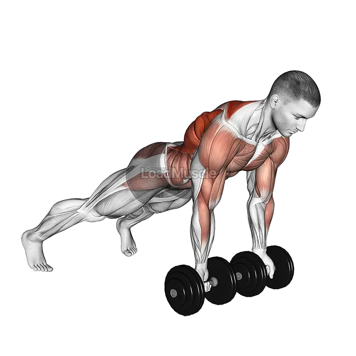 Dumbbell Underhand Renegade Row demonstration