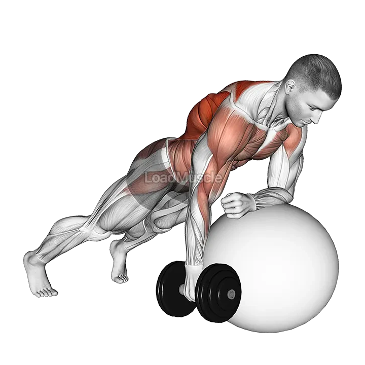 Dumbbell Renegade Row on Stability Ball demonstration