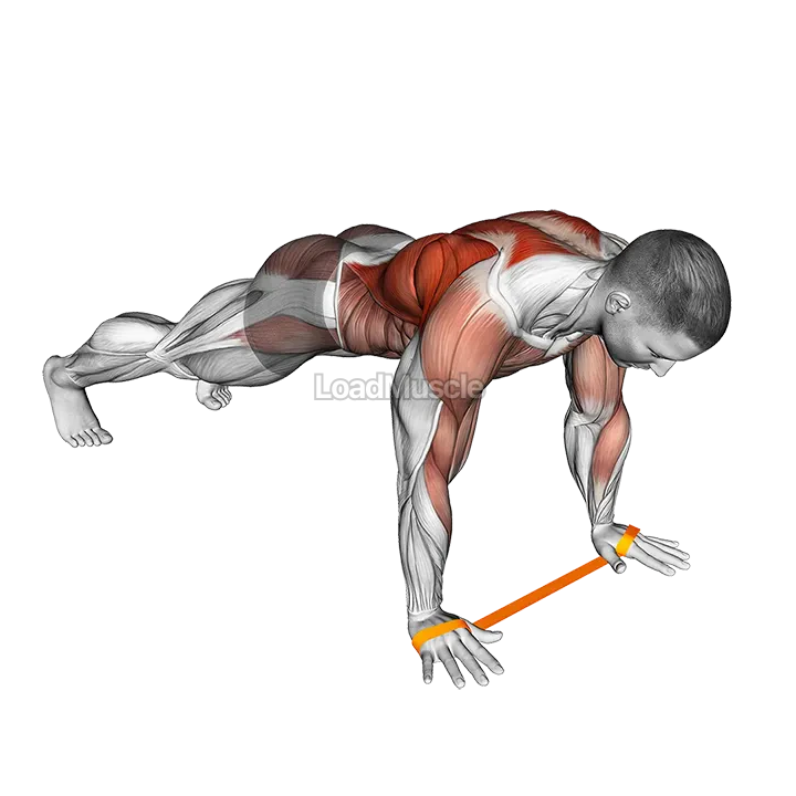 Resistance Band Renegade Row demonstration