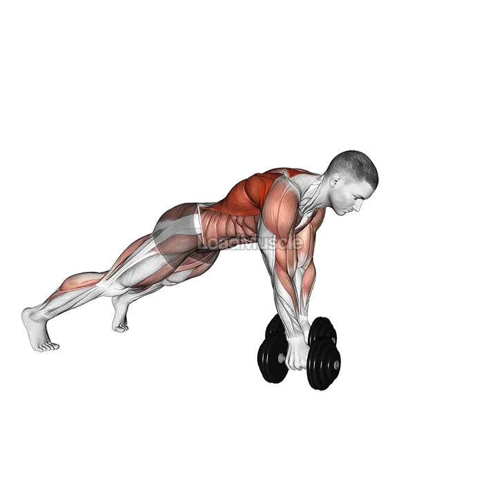 Dumbbell Renegade Row Walk demonstration