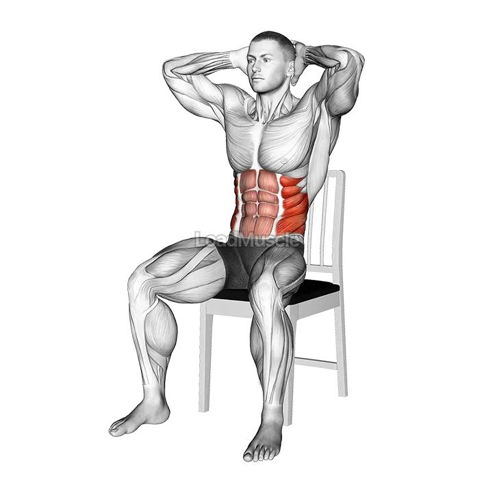 Seated Upright Twists on a Chair demonstration