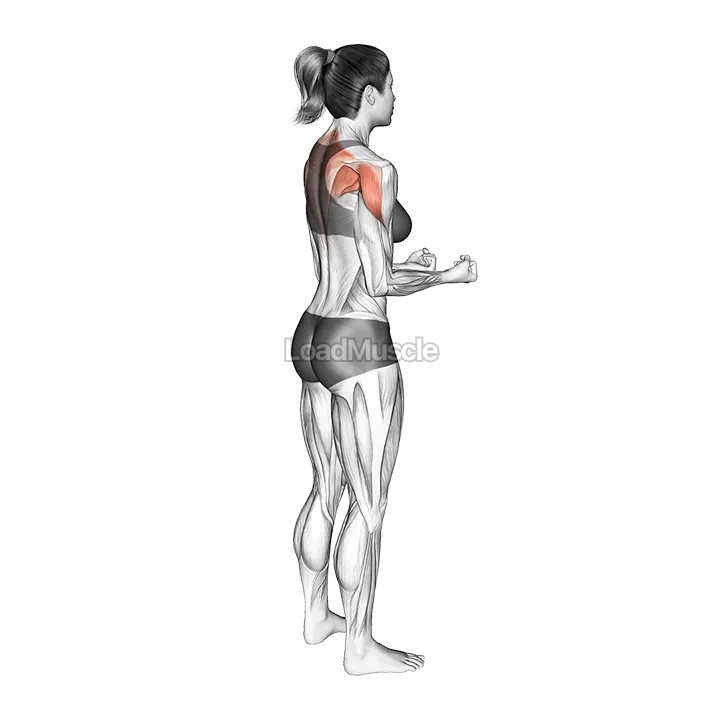 Bodyweight Standing Scapular External Rotation demonstration