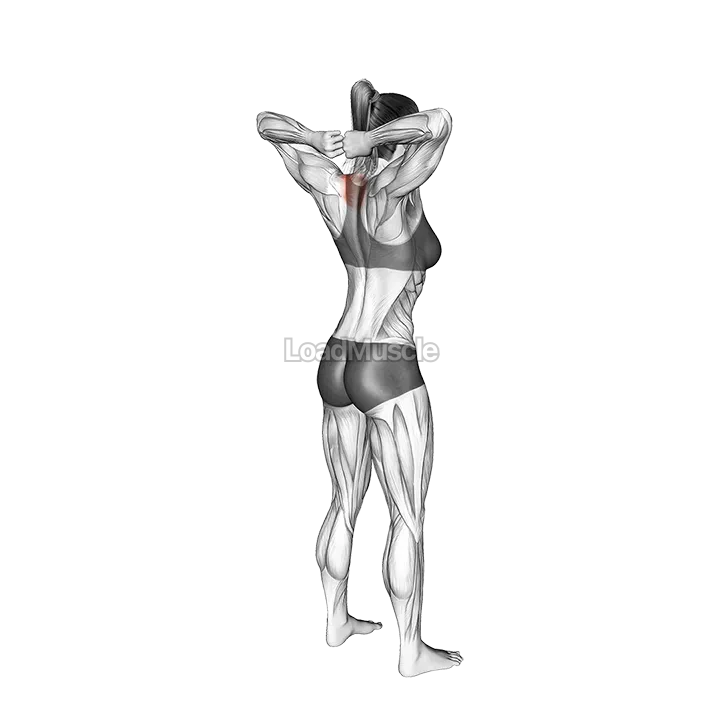 Bodyweight Standing T spine Press demonstration