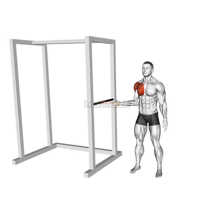 Resistance Band Standing Shoulder Internal Rotation demonstration