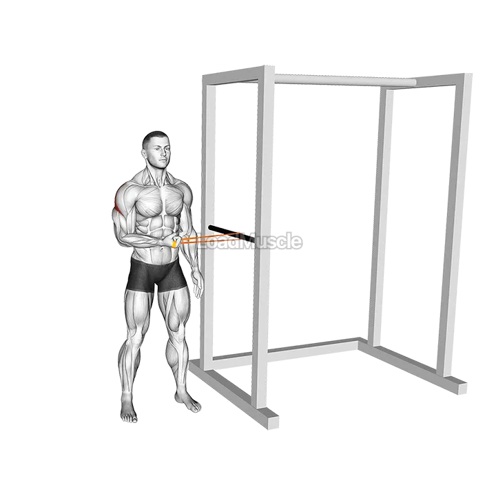 Resistance Band Standing Shoulder Extrernal Rotation demonstration