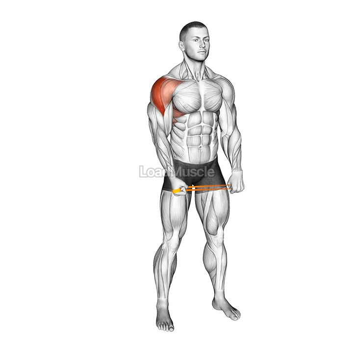 Resistance Band Standing Single Arm Lateral Raise demonstration