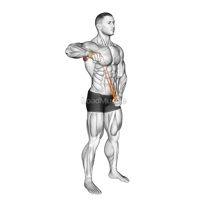 Resistance Band Standing 90 degrees Shoulder External Rotation demonstration