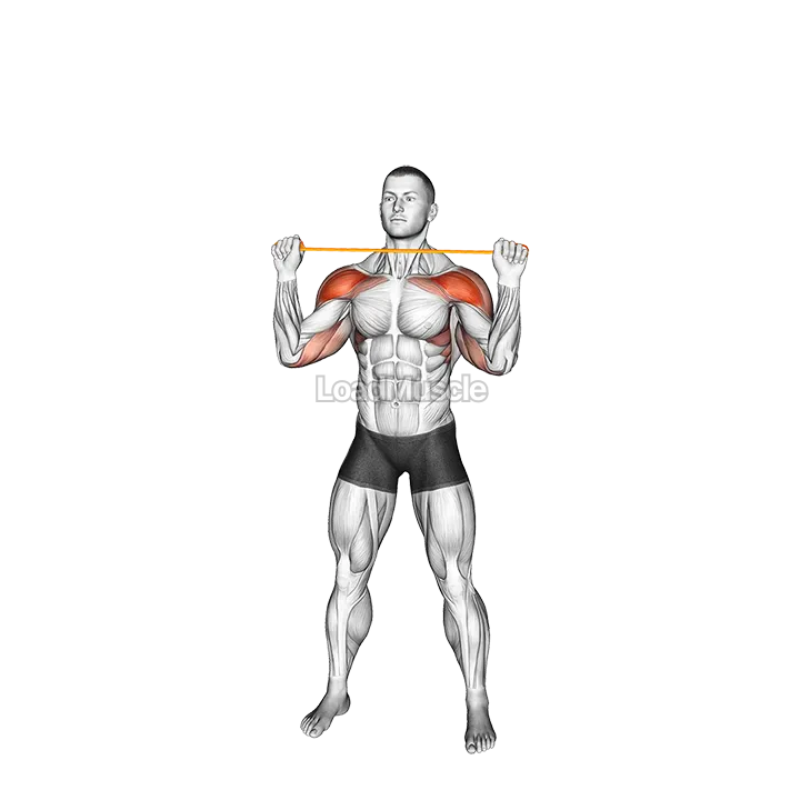 Resistance Band Overhead Shoulder Press demonstration
