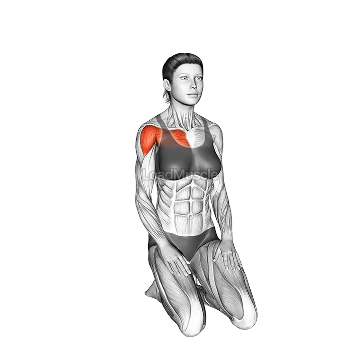 Seated Over Head Straight Arm Stretch demonstration