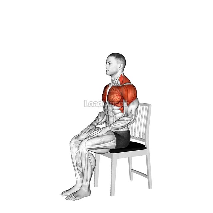Seated Overhead Stretch on a Chair demonstration