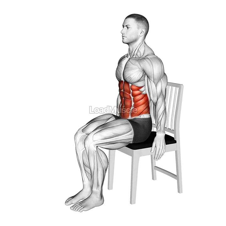 Seated Forward Bend Stretch on a Chair demonstration