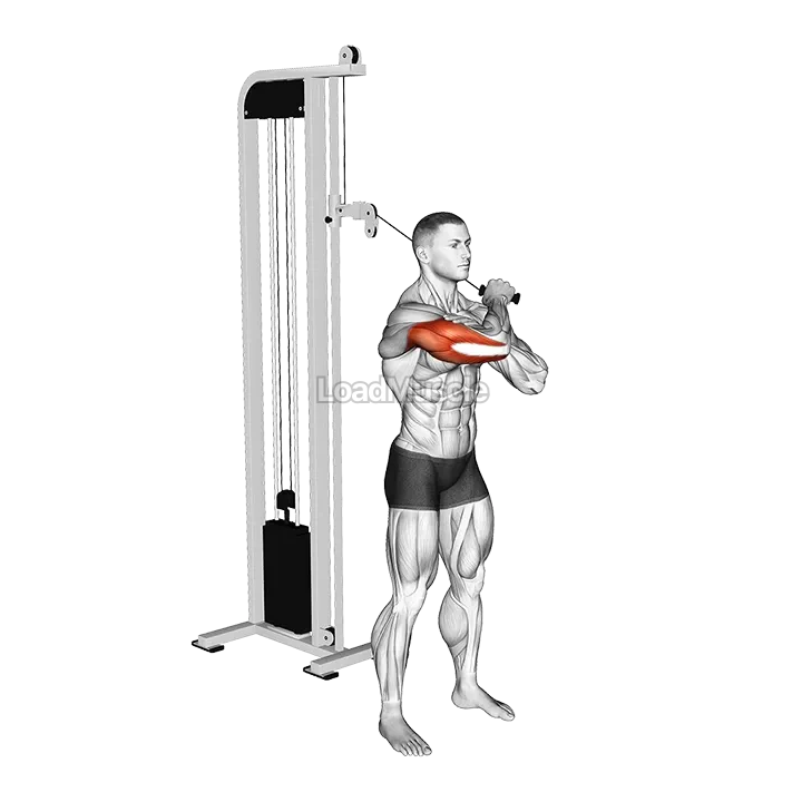 Cable Standing Single Arm Horizontal Triceps Extension demonstration