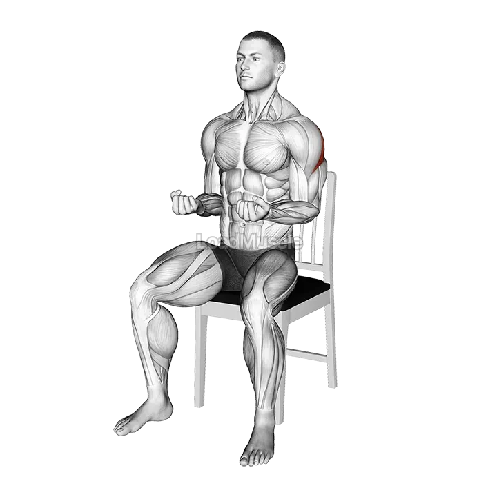 Seated External Rotation on a Chair demonstration