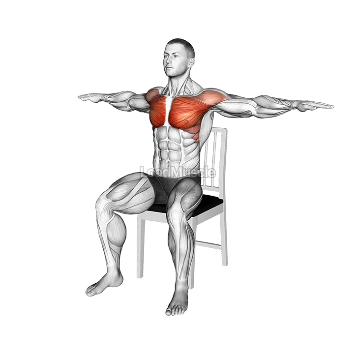 Seated Arm Crossover on a Chair demonstration