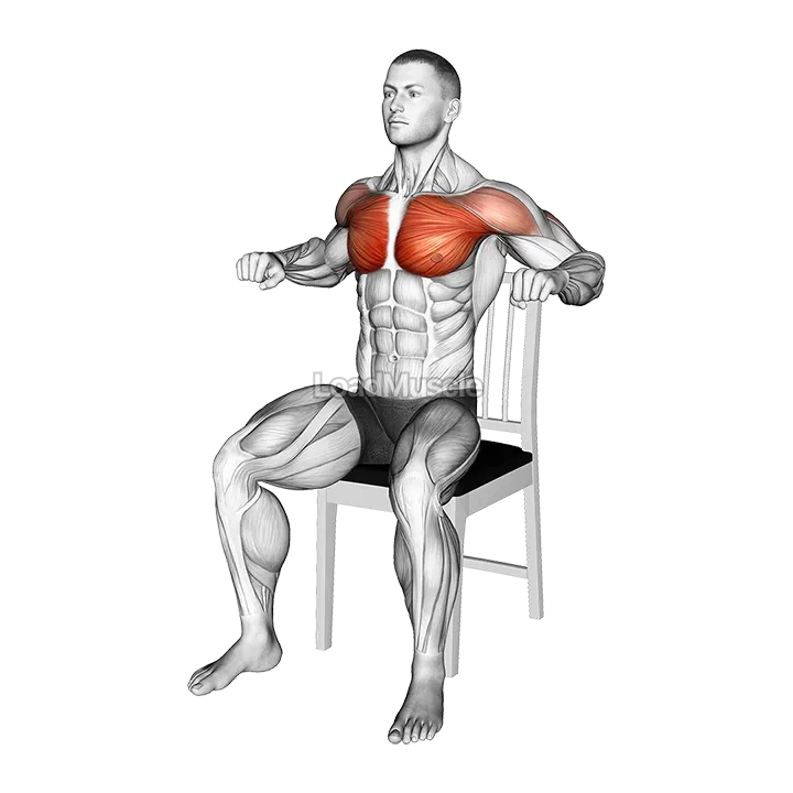 Seated Decline Chest Press on a Chair demonstration