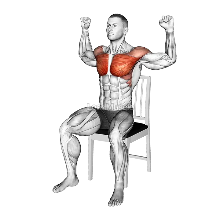 Seated Pec Dec on a Chair demonstration