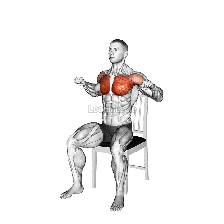 Seated Incline Chest Press on a Chair demonstration